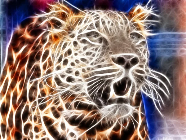 Tiger Art Design — Stockfoto