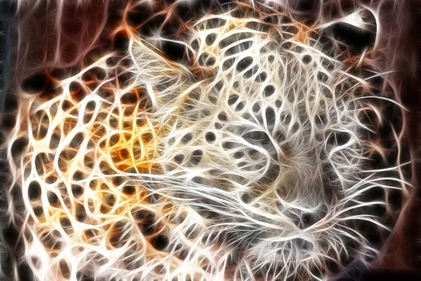 Diseño de arte tigre — Foto de Stock