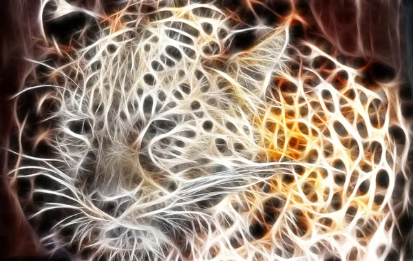 Projeto da arte do tigre — Fotografia de Stock