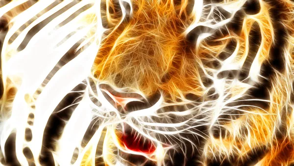 Tiger art design — Foto Stock