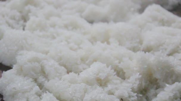 Sticky rice — Stock Video