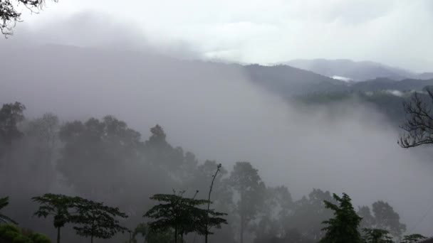 Awan di gunung . — Stok Video