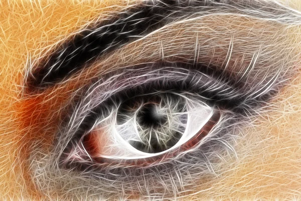 Projeto da arte do olho — Fotografia de Stock
