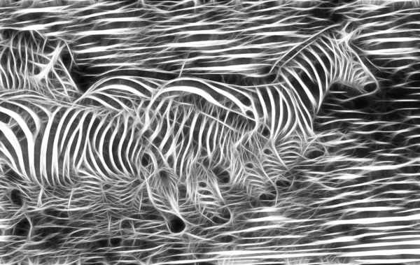 Zebra sanat tasarım