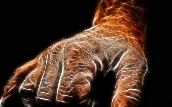 Hand Art Design — Stockfoto