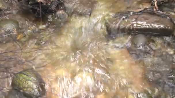 Cascade