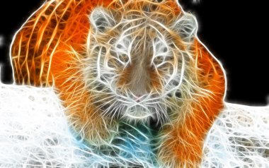 Aslan sanat tasarım