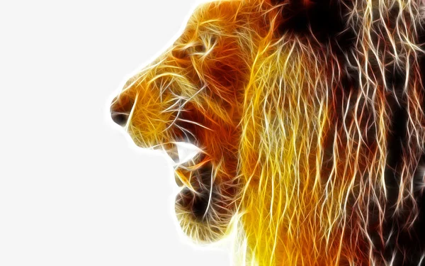 Design de arte de leão — Fotografia de Stock