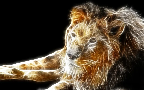 Lion konstdesign — Stockfoto