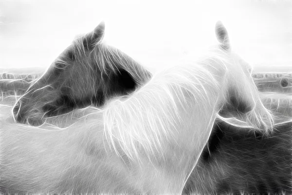 Design de arte de cavalo — Fotografia de Stock