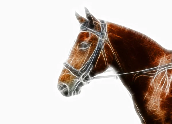 Design de arte de cavalo — Fotografia de Stock