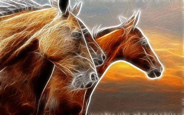 Disegno arte cavallo — Foto Stock