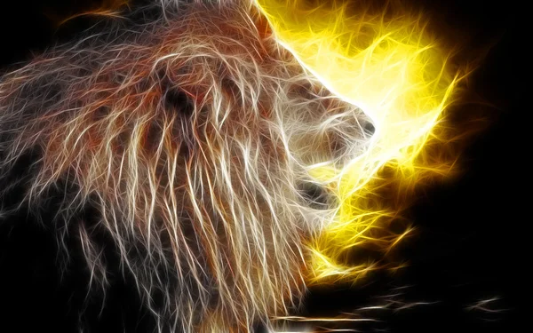 Lion art Design Stock Image