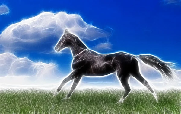 Diseño de arte caballo — Foto de Stock