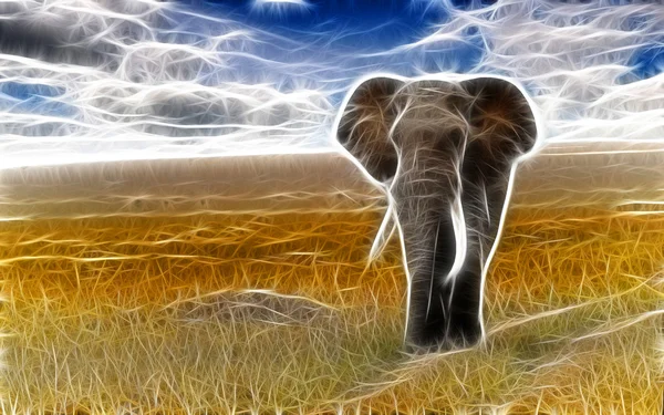 Olifant kunst design — Stockfoto