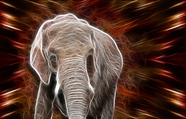 Elephant art Design — Stock Photo, Image