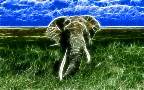 Elephant art Design — Stock Photo, Image