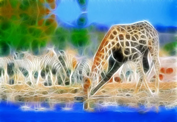 Giraffe kunst design — Stockfoto