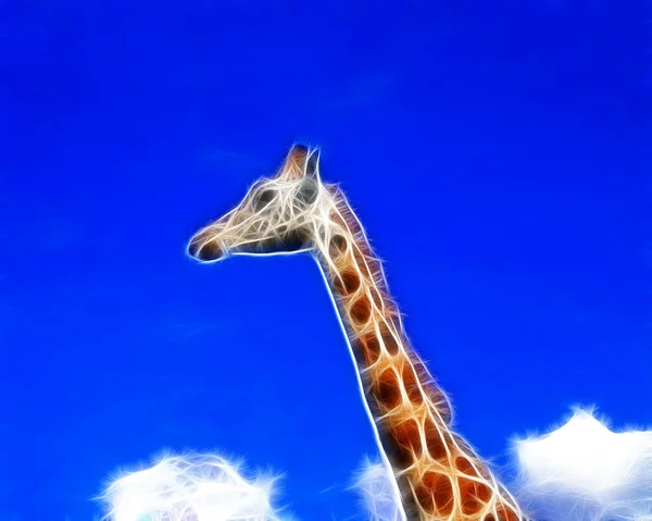 Girafe art Design — Photo