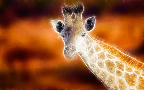 Zürafa sanat tasarım — Stok fotoğraf