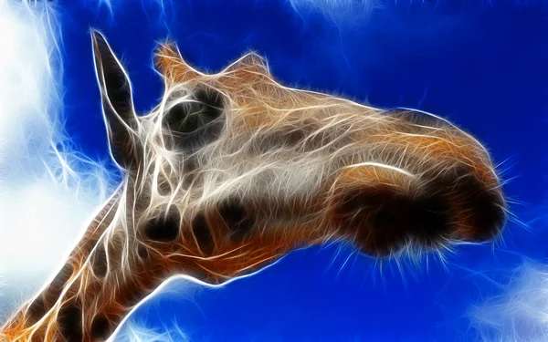 Arte giraffa Design — Foto Stock