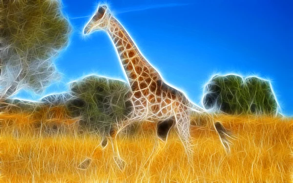 长颈鹿艺术设计 — 图库照片