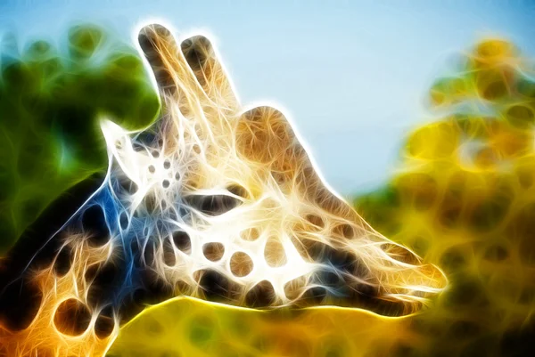 Giraffe kunst design — Stockfoto