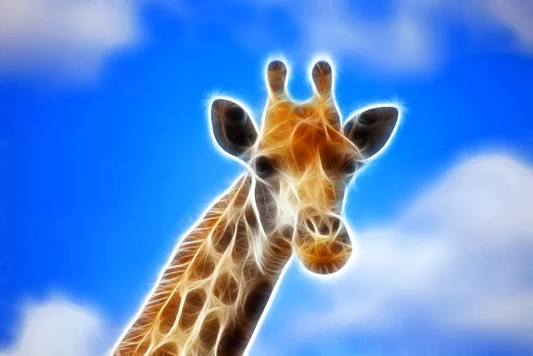 Giraffe kunst design — Stockfoto