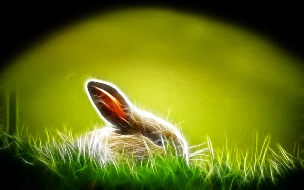 토끼 아트 디자인 — 스톡 사진