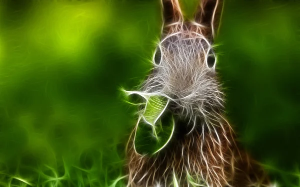 Diseño de arte conejo —  Fotos de Stock