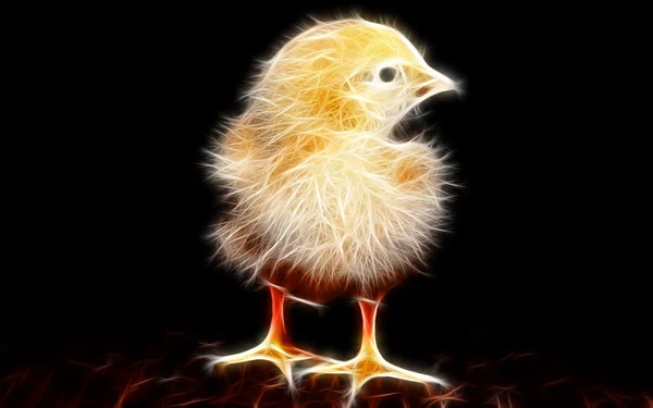 Chicken Art Design — стоковое фото