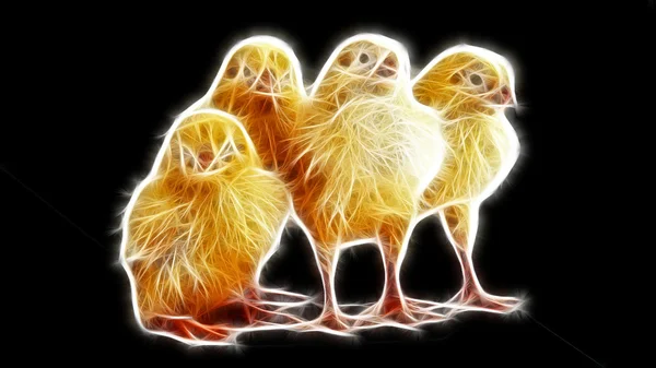 Arte del pollo Design — Foto Stock