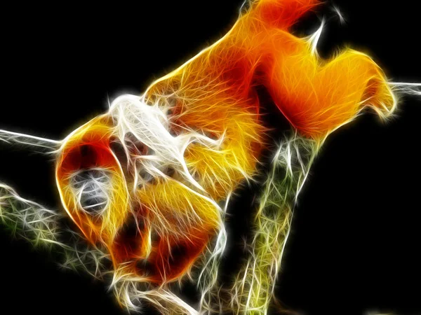 원숭이 아트 디자인 — 스톡 사진