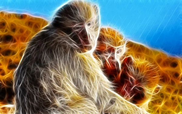 Monkey Art Design — стоковое фото