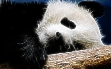 Panda sanat tasarım