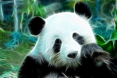 Panda sanat tasarım
