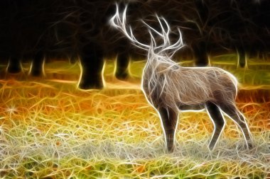 geyik sanat tasarım