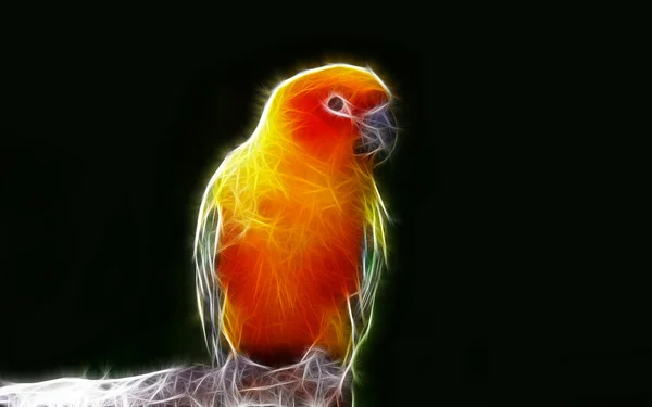 Parrot art Design — Stock Photo, Image