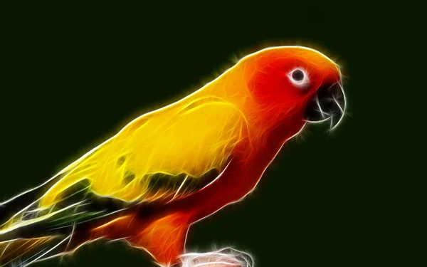 Papoušek umění design — Stock fotografie