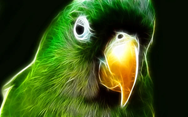 Papagáj art design — Stock Fotó
