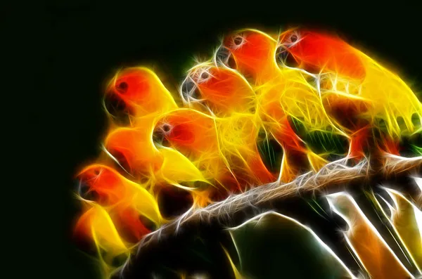 Parrot art Design — Stock Photo, Image