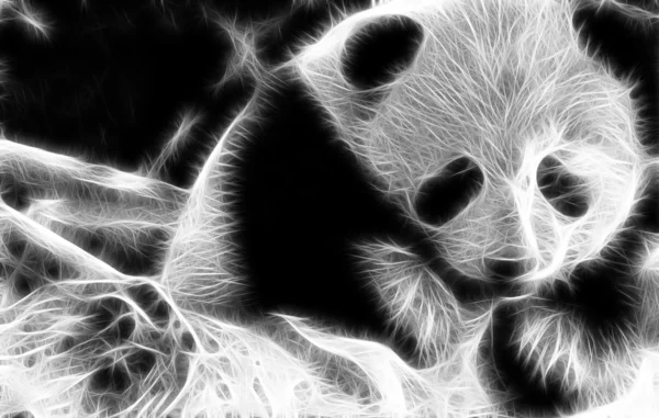 Panda sanat tasarım