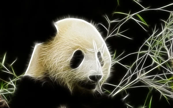 熊猫艺术设计 — 图库照片