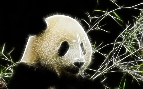 Panda sanat tasarım