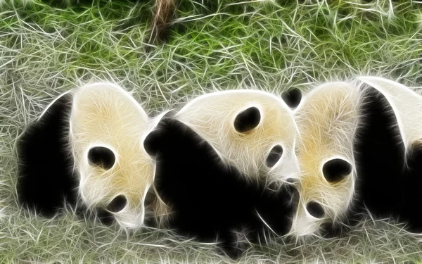 Panda sanat tasarım — Stok fotoğraf