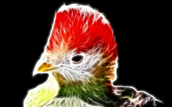 Diseño de arte de aves — Foto de Stock