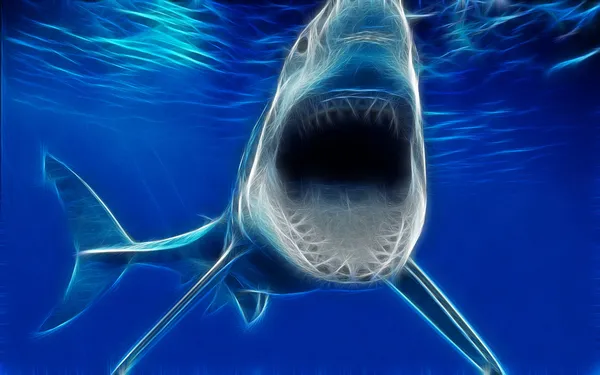 Shark art design — Stock Photo, Image