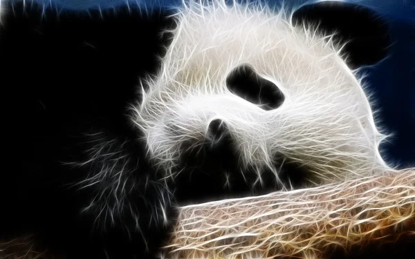 Художественный дизайн панды Стоковое Фото