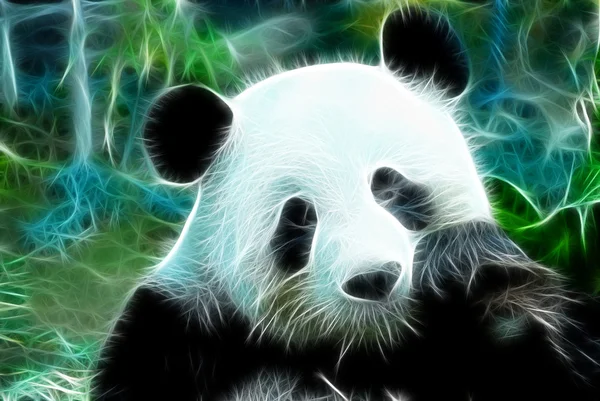 Panda umění design Stock Fotografie