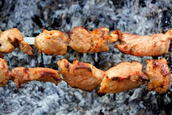 ateş et. şiş kebap